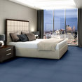 COLOR-ACCENTS-54462-BLUESTONE-62400-room-image